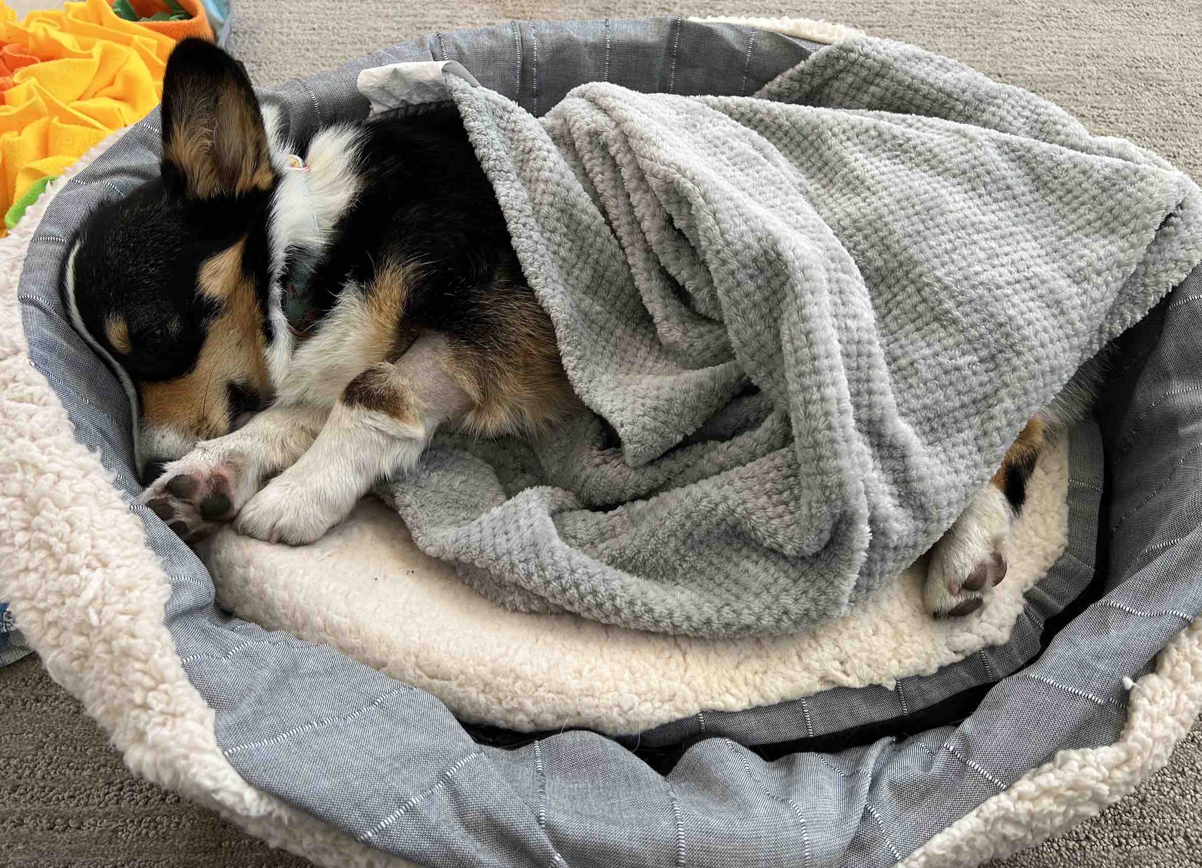 jack settling in his bed and saying good night